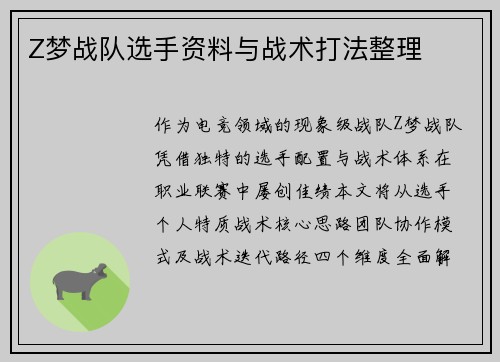 Z梦战队选手资料与战术打法整理