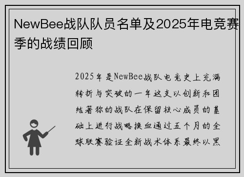 NewBee战队队员名单及2025年电竞赛季的战绩回顾