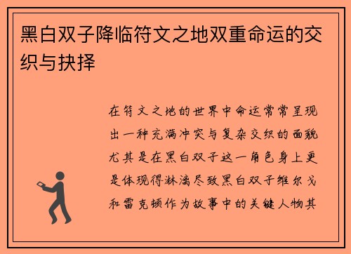 黑白双子降临符文之地双重命运的交织与抉择